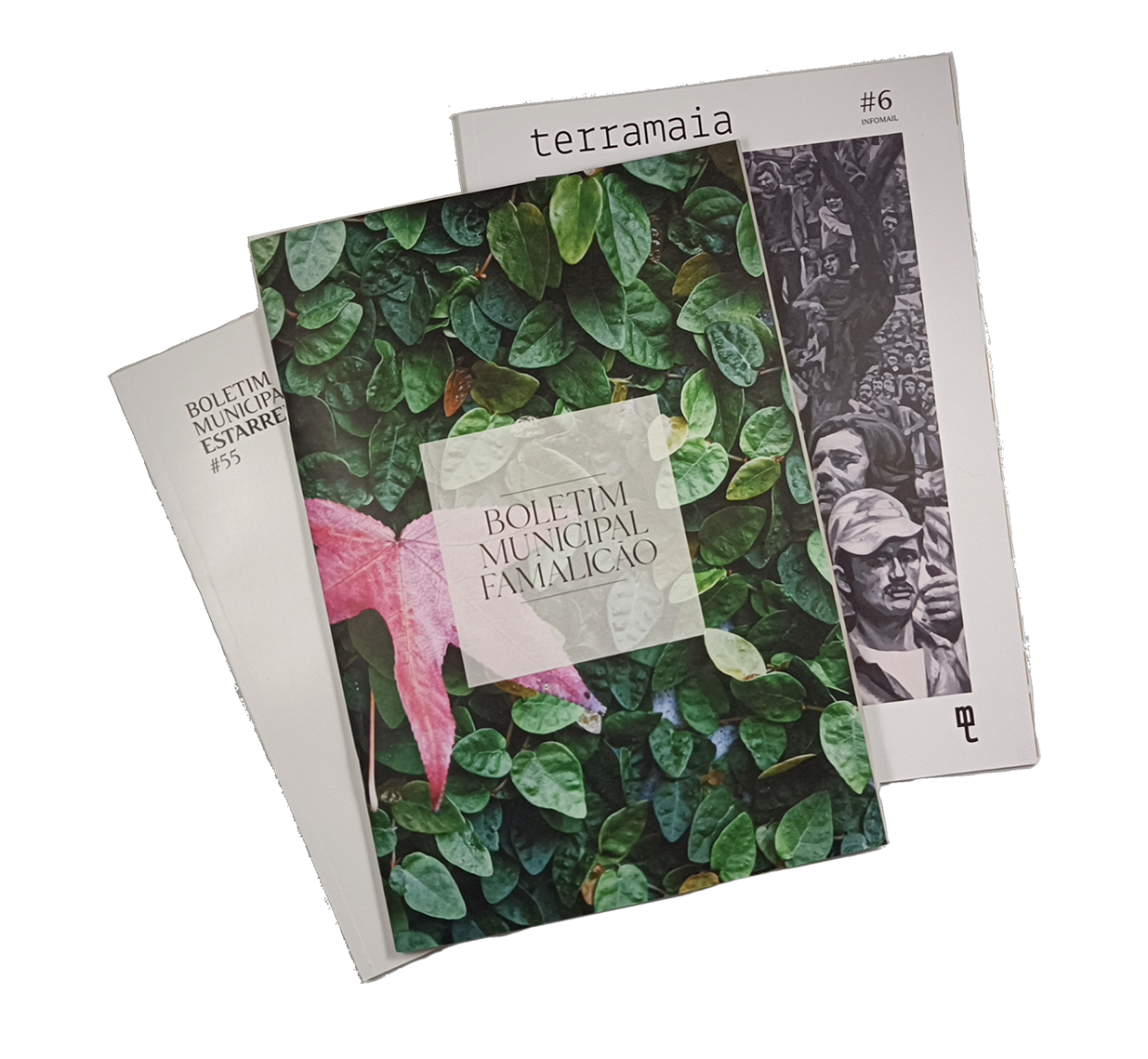 Livro 4
